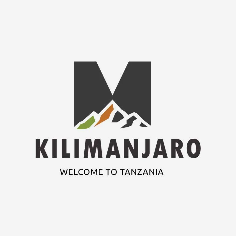 conversion-focused web design portfolio south africa